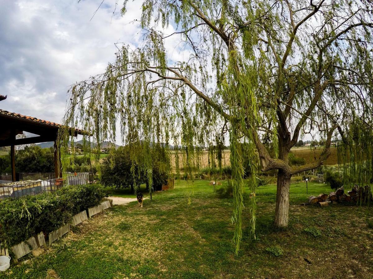 Le Cascatelle Cerveteri Exterior foto