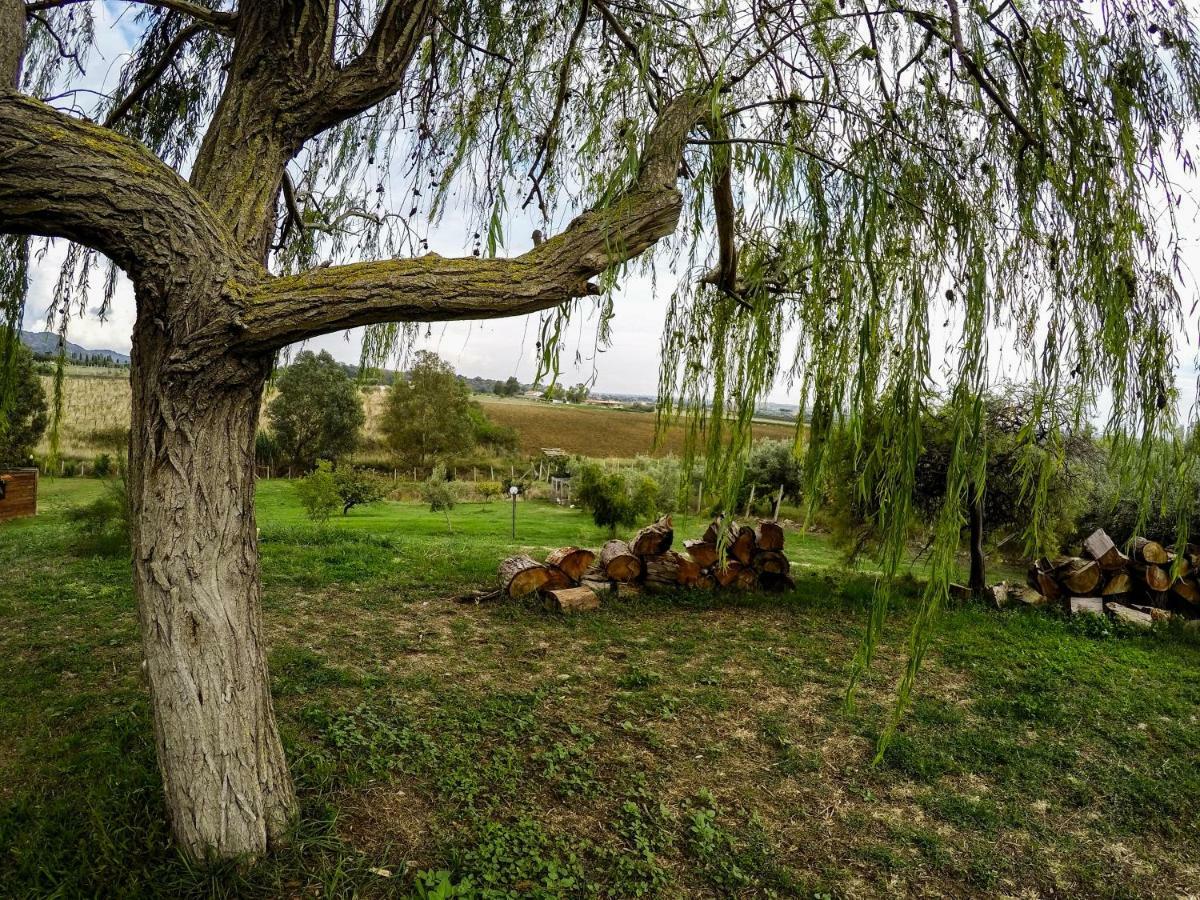 Le Cascatelle Cerveteri Exterior foto